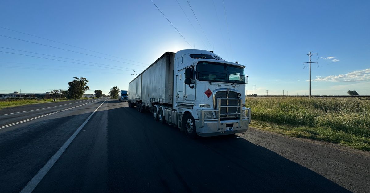 ARGENTINA INCORPORA NUEVAS EJES PARA TRANSPORTE DE CARGAS MERCOSUR