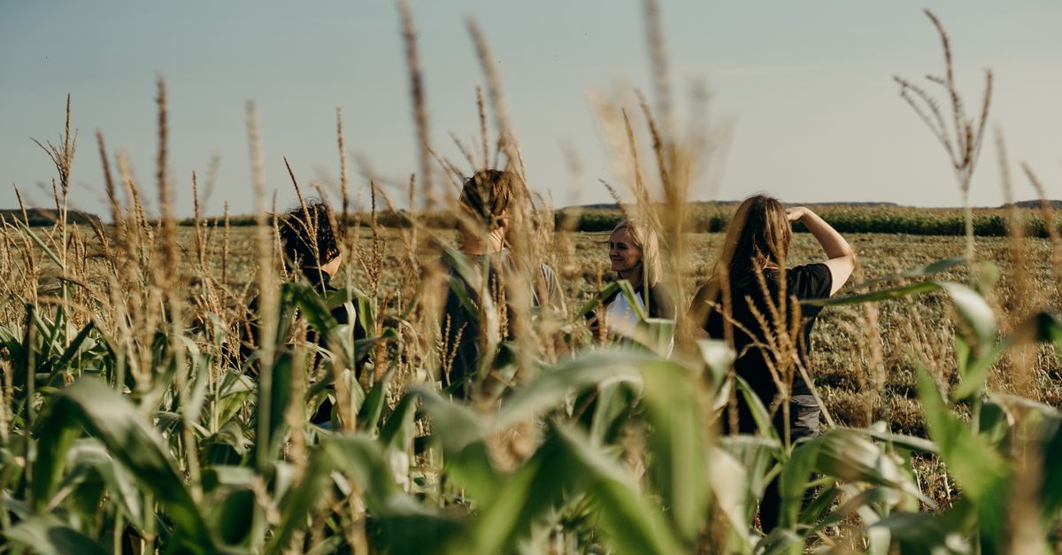 MERCOSUR ACTUALIZA EL ESTÁNDAR PARA ENVASES CELULÓSICOS EN CONTACTO CON ALIMENTOS